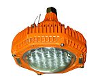 Nightsearcher Floodlight Hazardous Area Light, Hazardous Area Lights, Pendant, 24 V Pendant, ATEX