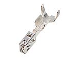 Molex CP Series Socket Crimp Terminal, 16AWG Min, 14AWG Max