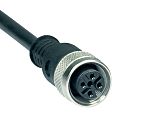 Schmersal Straight Female 4 way 4-Pole to Connector, 10m