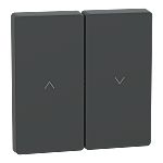 Schneider Electric Anthracite Blind & Roller Control Switch, Merten Series