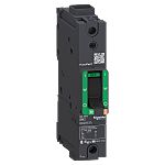 Interruptor automático Schneider Electric, , 1 Polo Polos, 110A, Capacidad de Ruptura 35 kA, Montaje en Carril DIN,