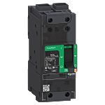 Schneider Electric, PowerPact Circuit breaker 2P 100A, Breaking Capacity 35 kA, DIN Rail Mount