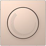 Schneider Electric Beige Cover Plate Metal Faceplate & Mounting Plate