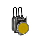 Schneider Electric, Harmony Pilot Light, 22.5mm Cutout, 24V