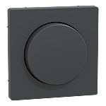Schneider Electric Anthracite Grey Cover Plate Thermoplastic Faceplate & Mounting Plate