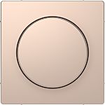 Schneider Electric Beige Cover Plate Thermoplastic Faceplate & Mounting Plate