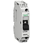 Termomagnetický jistič 1pólový TeSyS GB2 Schneider Electric TeSys 250V