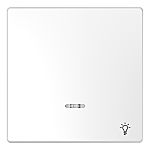 Schneider Electric Illuminated, Off On Rocker Switch Clip-In