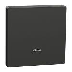 Schneider Electric Anthracite Blind & Roller Control Switch, Merten Series