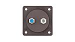 F Brown Female 2 Outlet TV Aerial Connector, Flush Mount