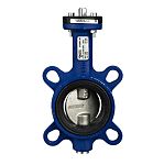 Schneider Electric Cast Iron Butterfly Valve VF208W-65NS, 65mm