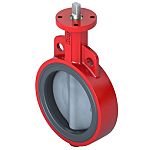 Schneider Electric Cast Iron Butterfly Valve VF209W-150CN, 150mm