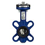 Schneider Electric Cast Iron Butterfly Valve VF208W-25NS, 25mm