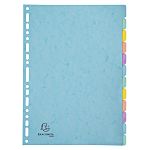 Exacompta Assorted A4 File Divider