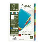 Exacompta Assorted A4 File Divider