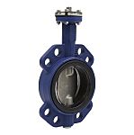 Schneider Electric Cast Iron Butterfly Valve VF208W-150NS, 150mm