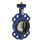 Schneider Electric Cast Iron Butterfly Valve VF208W-80NS, 80mm