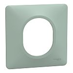 Schneider Electric Green 1 Gang Light Switch Cover