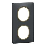 Schneider Electric Anthracite 2 Gang Light Switch Cover