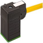 Murrelektronik Limited Solenoid Connector