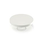 RAFI RACON Series Plunger for Use with Switches