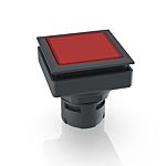 RAFI Push Button Bezel for Use with Illuminated Pushbutton