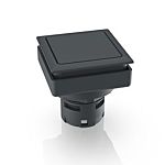 RAFI Blanking Caps, For Use With Installation In Mounting Holes In The Front Panel