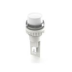 RAFI Clear Push Button Lamp for Use with Push Button