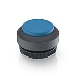 RAFI Push Button Bezel for Use with Illuminated Pushbutton