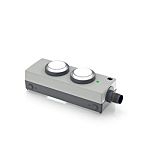 RAFI Momentary Contact Control Station Switch - DPST, 2 Cutouts, Transparent, IP65
