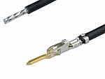 Molex Male Micro-Fit to Male Pigtail Pre-Crimped Lead, 300mm, 20AWG, Black