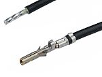 Molex Female Micro-Fit to Male Pigtail Pre-Crimped Lead, 300mm, 20AWG, Black