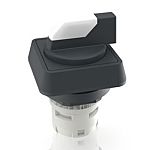 RAFI Selector Switch - 16.2mm Cutout Diameter, Illuminated 2 Positions