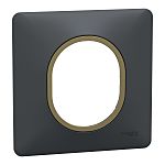 Anthracite 1 Gang Light Switch Cover