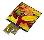 Display Visions EA TFT040-77AINN TFT LCD Colour Display, 4in, 720 x 720pixels