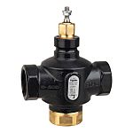 Schneider Electric Cast Iron Globe Valve 7311741000, 1/2 in Rp 399.9 kPa