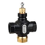Schneider Electric Cast Iron Globe Valve 7311737000, 1-1/4 in Rp Female 399.9 kPa