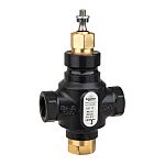 Schneider Electric Cast Iron Globe Valve 7311729000, 3/4 in Rp Female 399.9 kPa