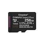 256 GB MicroSDXC Micro SD Card, Class 10, UHS-I