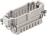 RS PRO Heavy Duty Power Connector Insert, 16A, Male, 16 Contacts