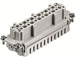 RS PRO Heavy Duty Power Connector Insert, 16A, Female, 24 Contacts