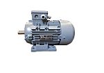 RS PRO AC Motor, 0.75 kW, IE3, 3 Phase, 2 Pole, 400 V, Foot Mount Mounting