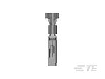 thumbnail-Y1895991-03