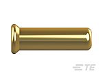 thumbnail-Y1917875-02