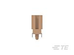 thumbnail-Y1918376-02