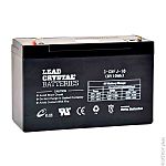 ENIX Energies 6V Standard Sealed Lead Acid Battery, 10Ah