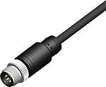 RS PRO Straight Male 8 way M12 to Straight Male Unterminated Sensor Actuator Cable, 5m