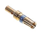 FMP003S106 / 1727040152