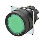Omron Push Button Switch, Momentary, IP66