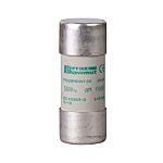 Schneider Electric 125A Cartridge Fuse, 22 x 58mm